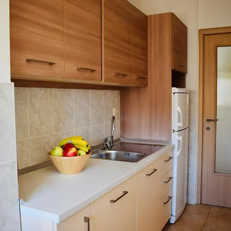 Apartman Roko *